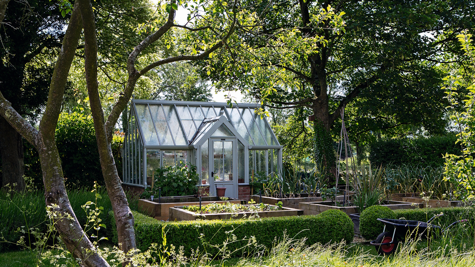 Methods to create a non-toxic backyard – 11 knowledgeable suggestions for a protected and sustainable outside area