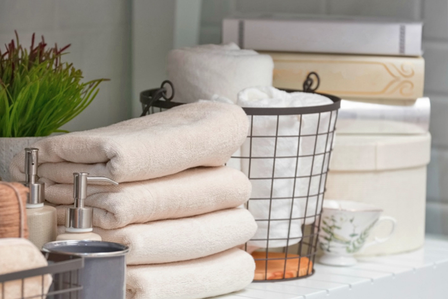 Revolutionary Toilet Storage Options