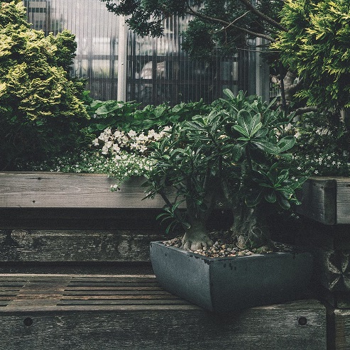 Six small backyard makeover concepts