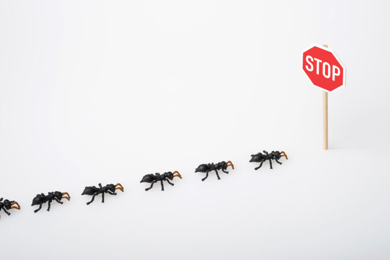 How Do Skilled Exterminators Get Rid of Pests?